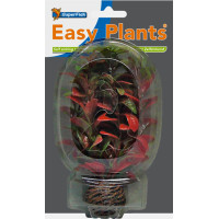 Easy Plants Low NR7